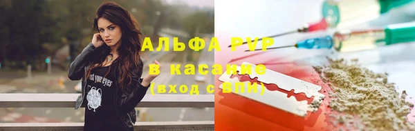 спиды Бородино