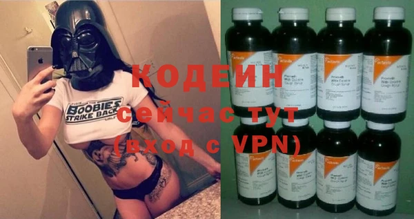 спиды Бородино